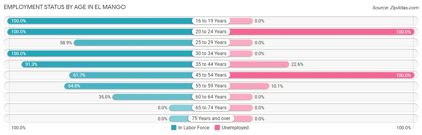 Employment Status by Age in El Mango