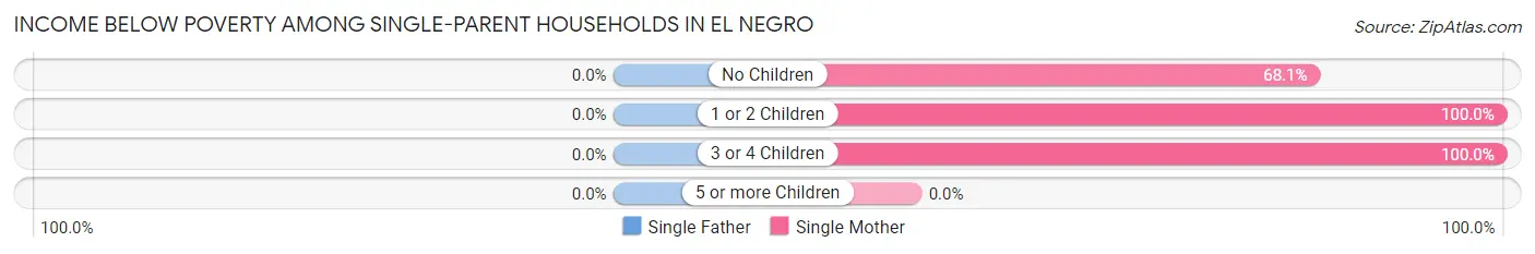 Income Below Poverty Among Single-Parent Households in El Negro