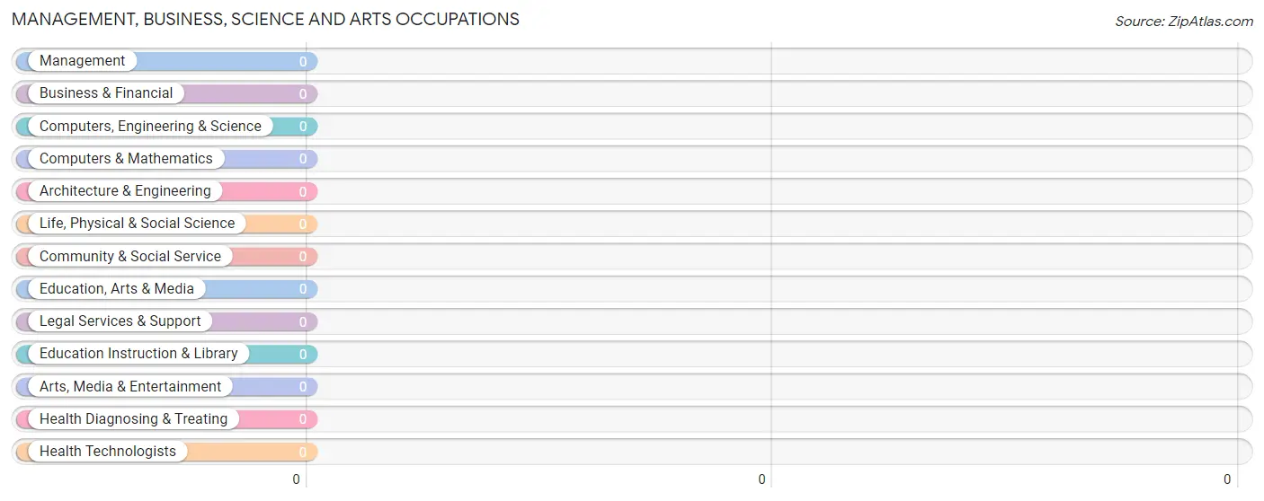 Management, Business, Science and Arts Occupations in El Ojo