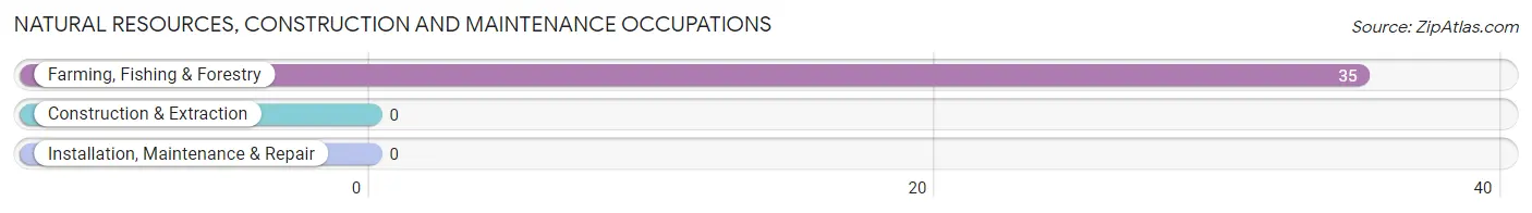 Natural Resources, Construction and Maintenance Occupations in El Ojo