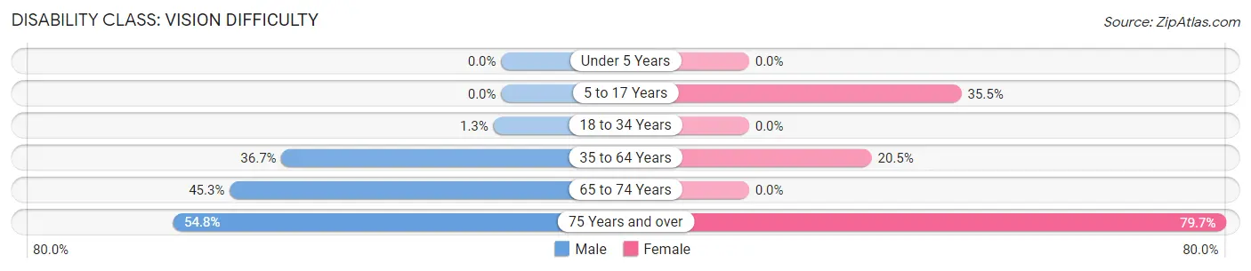 Disability in Fuig: <span>Vision Difficulty</span>