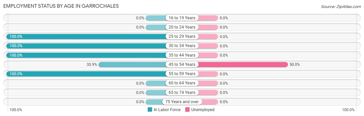 Employment Status by Age in Garrochales