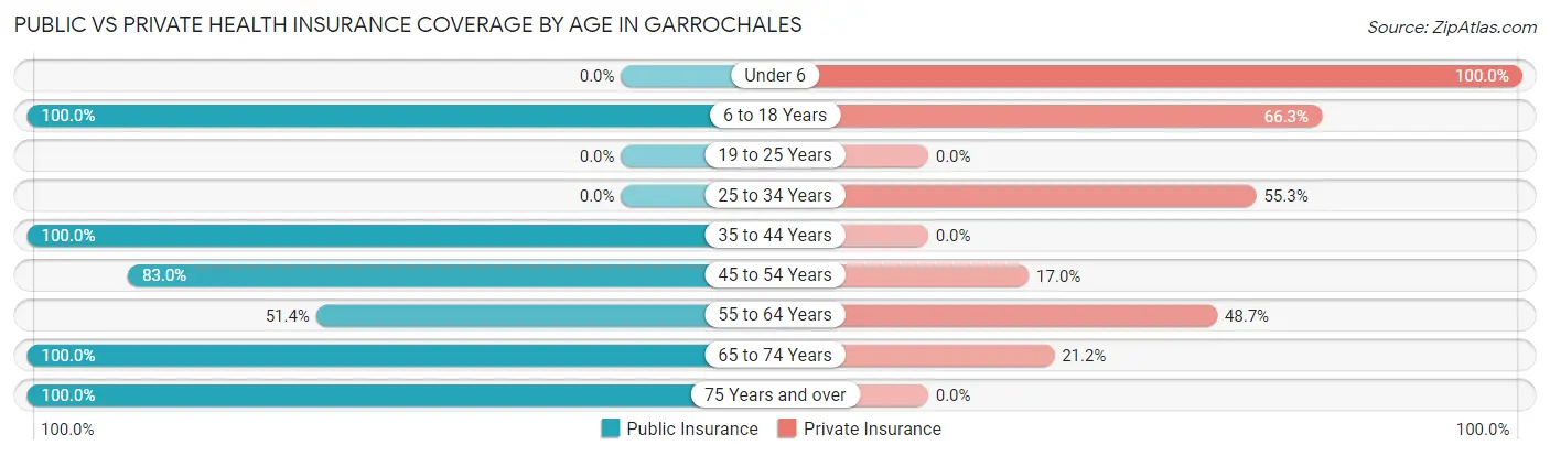 Public vs Private Health Insurance Coverage by Age in Garrochales