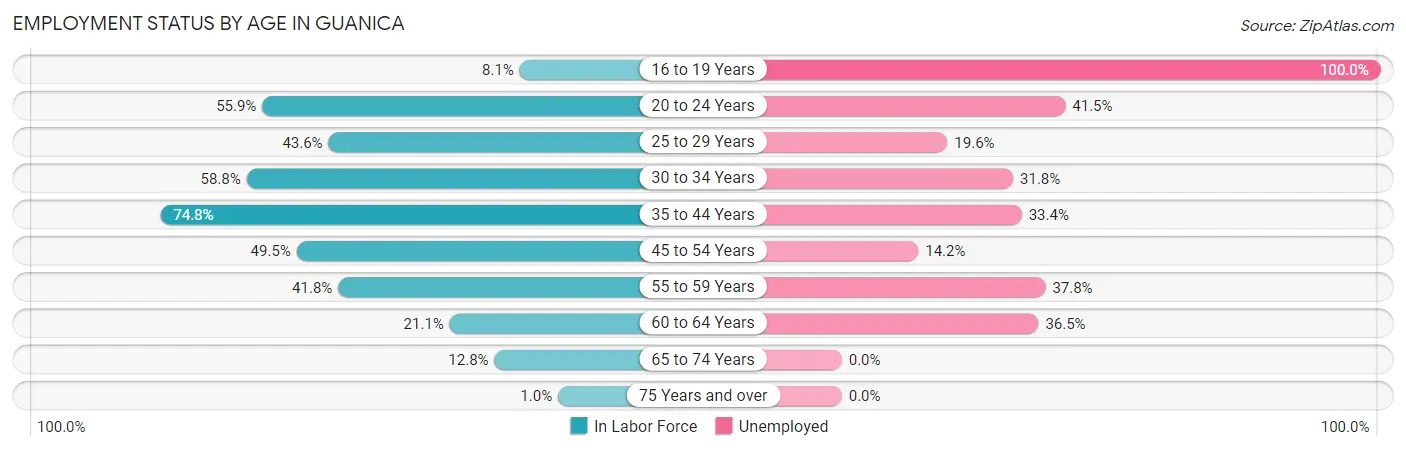 Employment Status by Age in Guanica