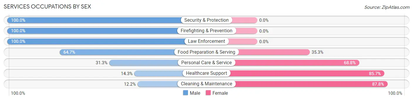 Services Occupations by Sex in Guanica