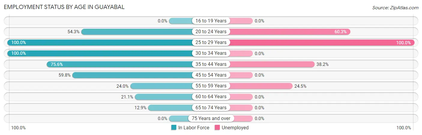 Employment Status by Age in Guayabal