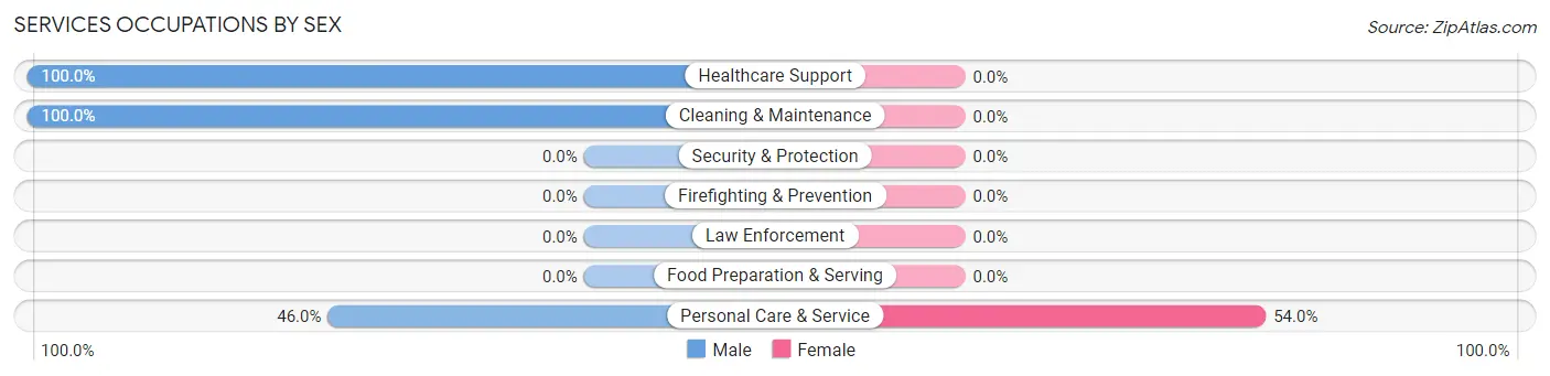 Services Occupations by Sex in Hacienda San Jose