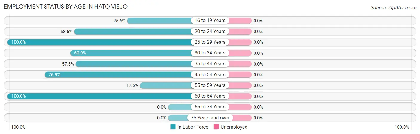 Employment Status by Age in Hato Viejo