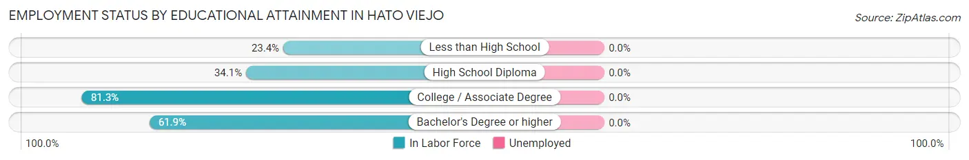 Employment Status by Educational Attainment in Hato Viejo