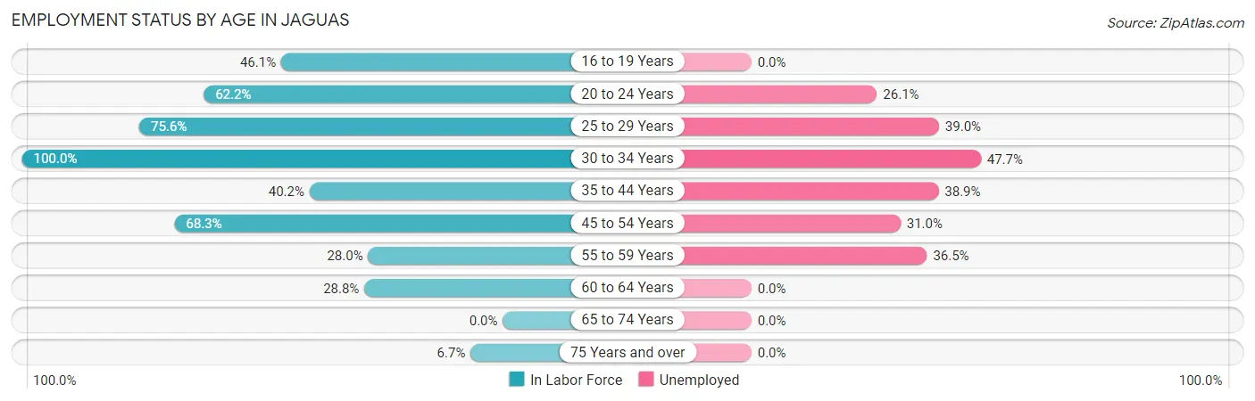 Employment Status by Age in Jaguas