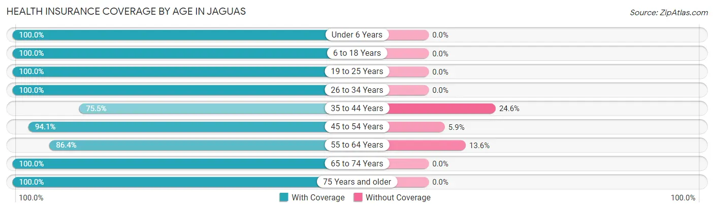 Health Insurance Coverage by Age in Jaguas