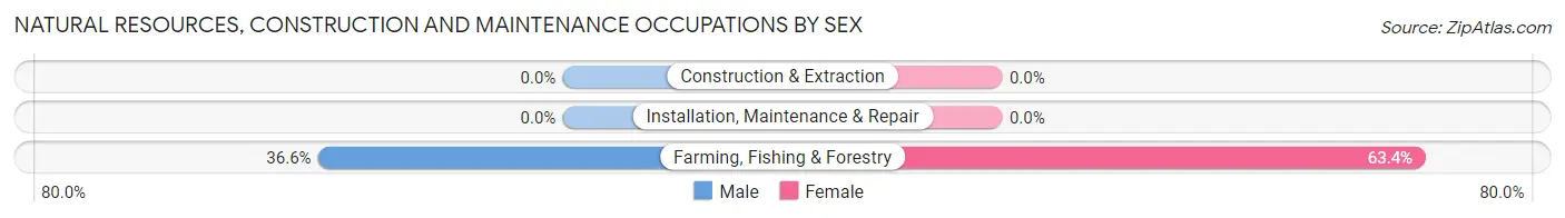 Natural Resources, Construction and Maintenance Occupations by Sex in Jaguas