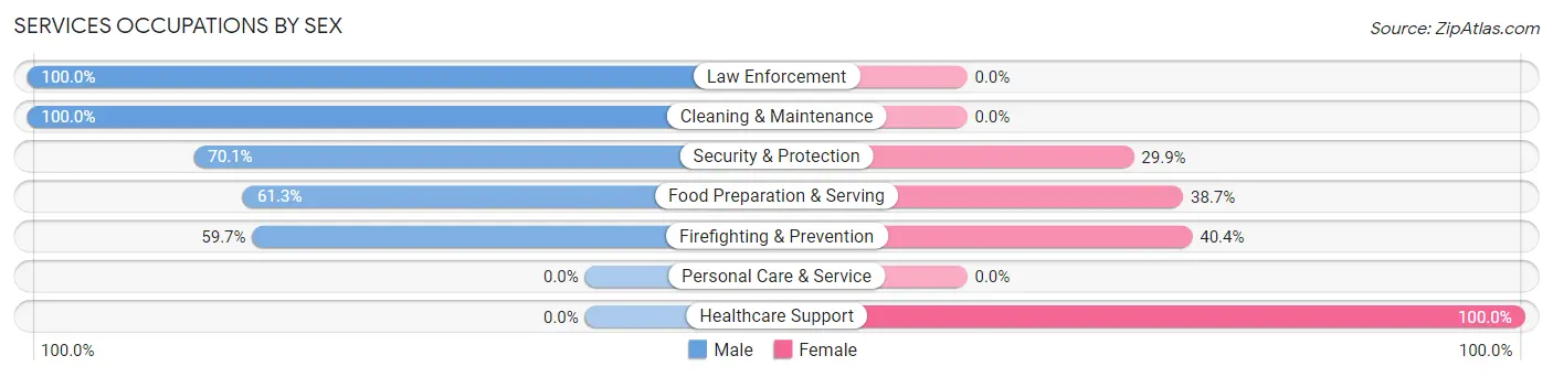 Services Occupations by Sex in Jaguas