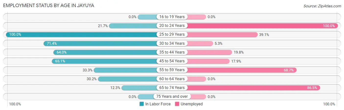 Employment Status by Age in Jayuya