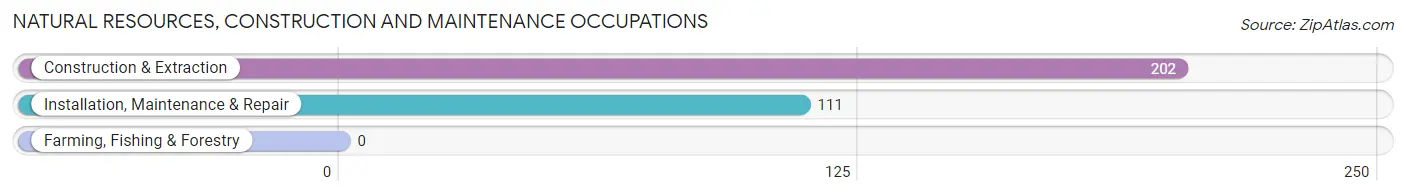 Natural Resources, Construction and Maintenance Occupations in Juncos