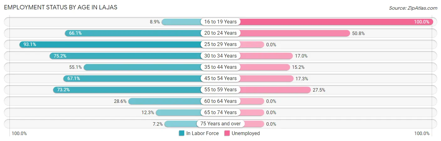 Employment Status by Age in Lajas