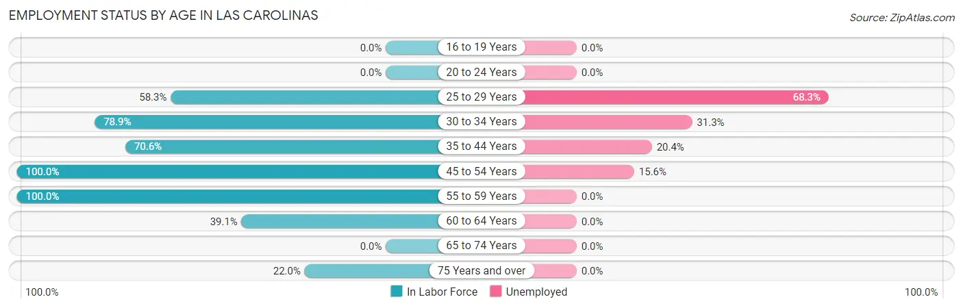 Employment Status by Age in Las Carolinas
