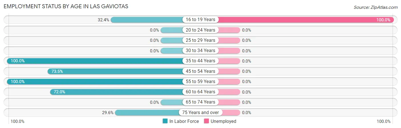 Employment Status by Age in Las Gaviotas