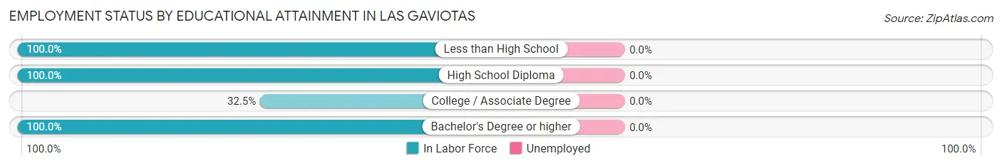 Employment Status by Educational Attainment in Las Gaviotas