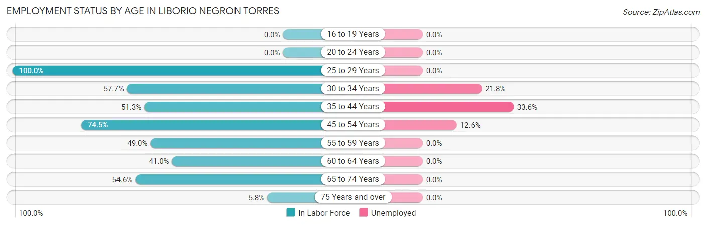 Employment Status by Age in Liborio Negron Torres