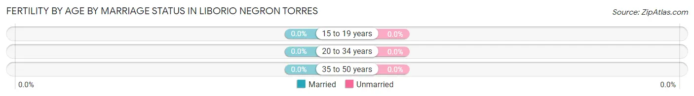 Female Fertility by Age by Marriage Status in Liborio Negron Torres