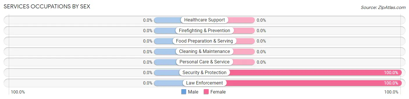 Services Occupations by Sex in Liborio Negron Torres