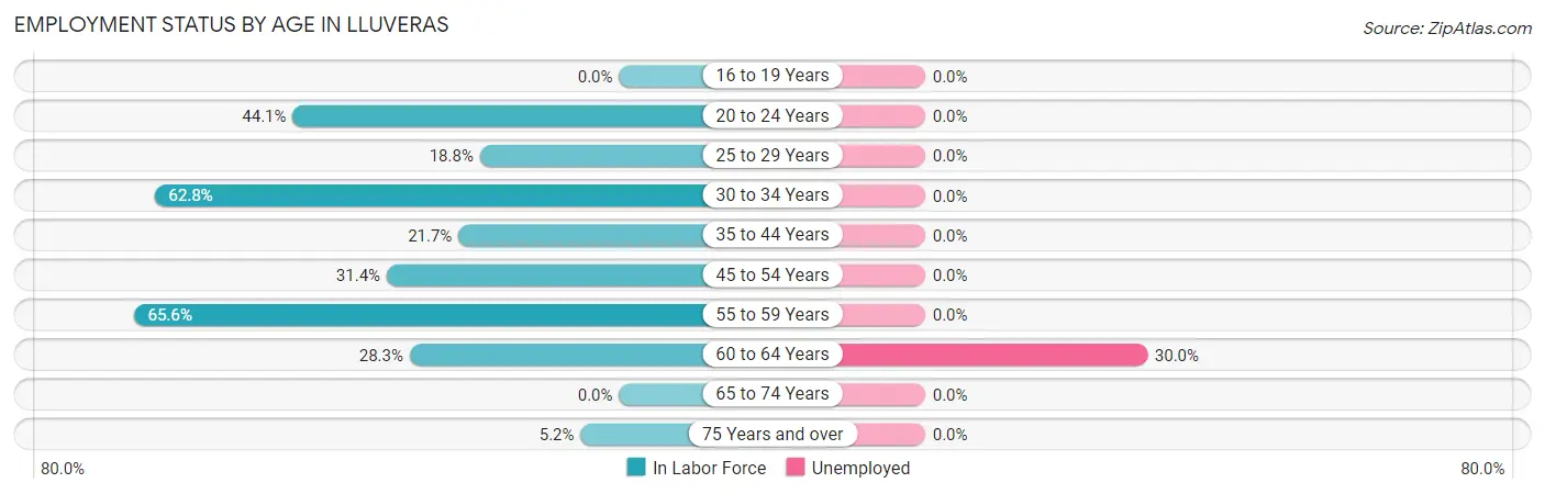 Employment Status by Age in Lluveras