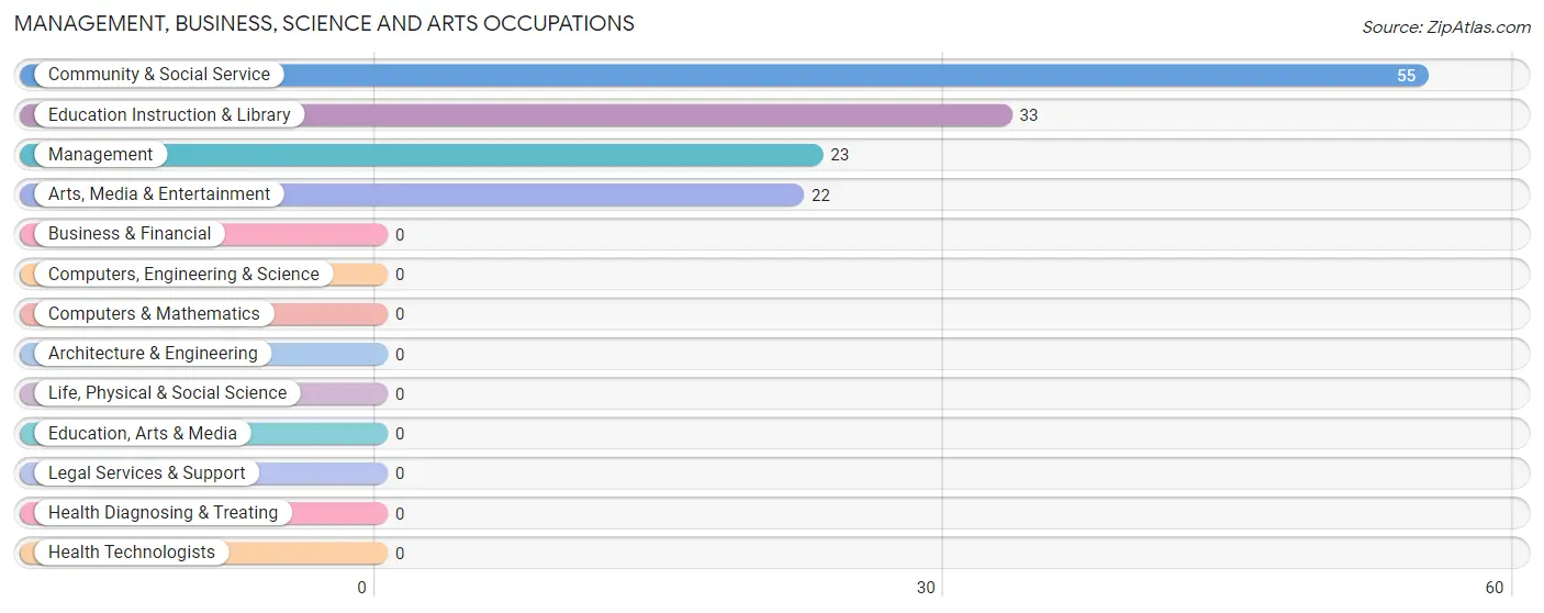 Management, Business, Science and Arts Occupations in Mansión del Sol