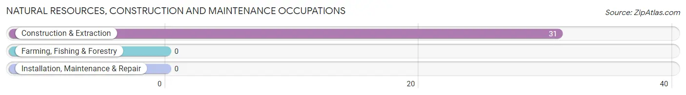 Natural Resources, Construction and Maintenance Occupations in Mansión del Sol