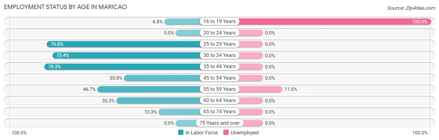 Employment Status by Age in Maricao
