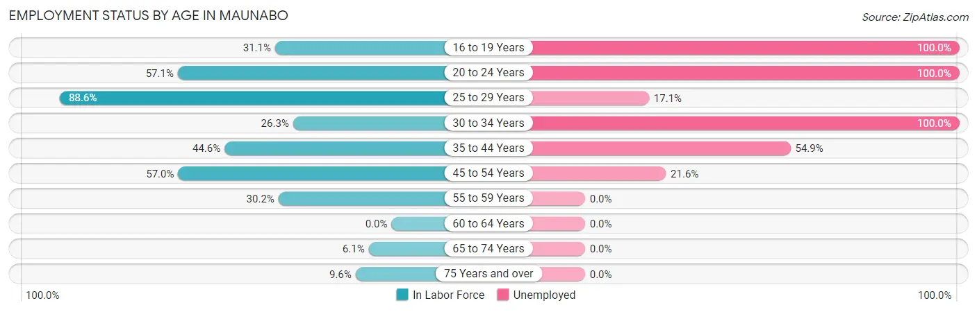 Employment Status by Age in Maunabo