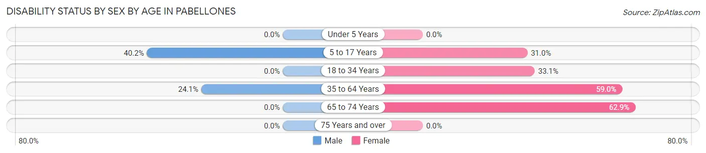 Disability Status by Sex by Age in Pabellones