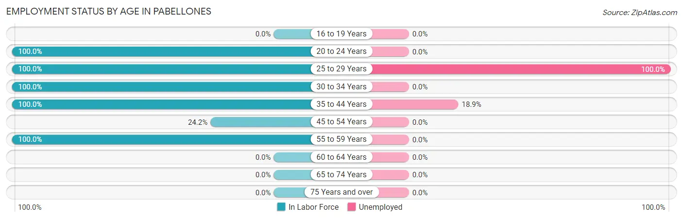 Employment Status by Age in Pabellones