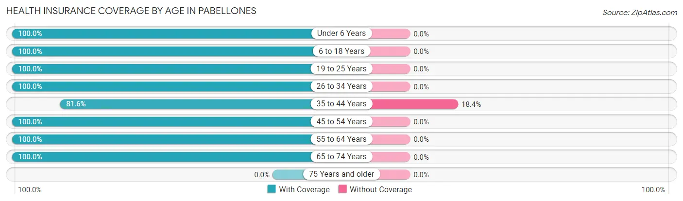 Health Insurance Coverage by Age in Pabellones
