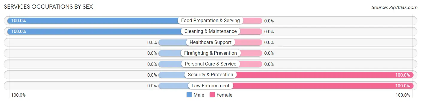 Services Occupations by Sex in Pabellones