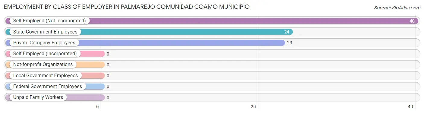 Employment by Class of Employer in Palmarejo comunidad Coamo Municipio