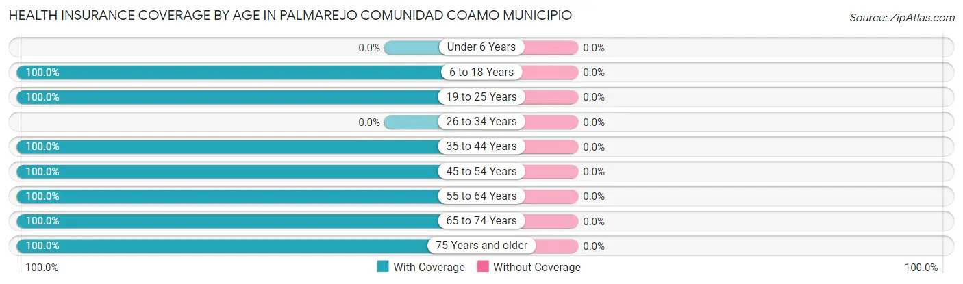 Health Insurance Coverage by Age in Palmarejo comunidad Coamo Municipio
