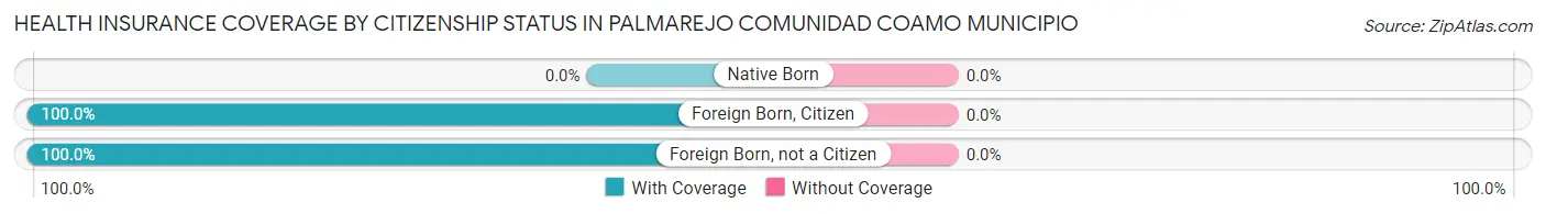 Health Insurance Coverage by Citizenship Status in Palmarejo comunidad Coamo Municipio