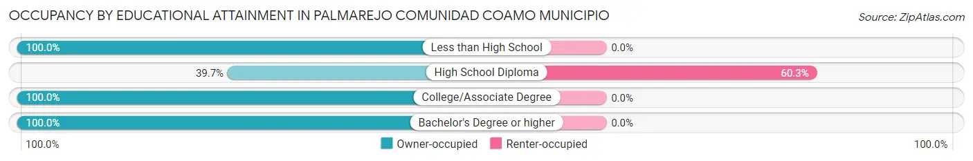 Occupancy by Educational Attainment in Palmarejo comunidad Coamo Municipio