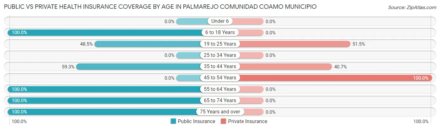 Public vs Private Health Insurance Coverage by Age in Palmarejo comunidad Coamo Municipio