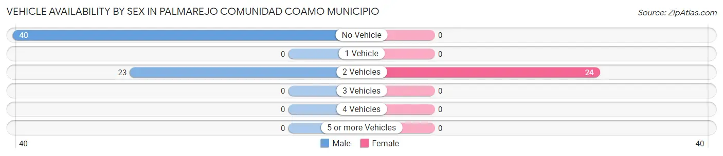 Vehicle Availability by Sex in Palmarejo comunidad Coamo Municipio