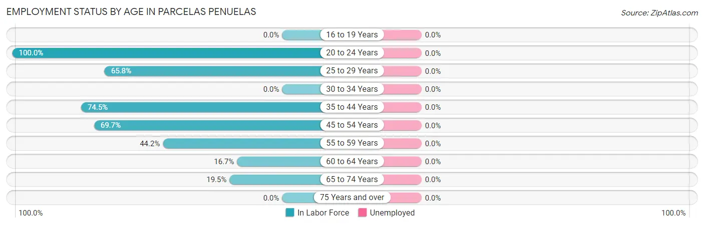 Employment Status by Age in Parcelas Penuelas