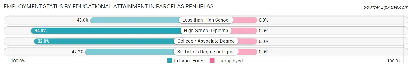 Employment Status by Educational Attainment in Parcelas Penuelas