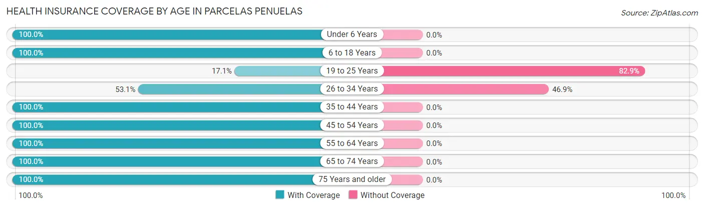 Health Insurance Coverage by Age in Parcelas Penuelas