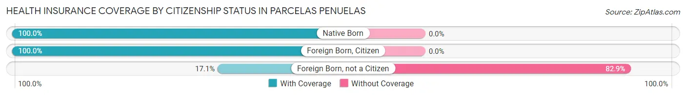 Health Insurance Coverage by Citizenship Status in Parcelas Penuelas