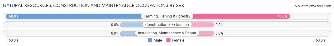 Natural Resources, Construction and Maintenance Occupations by Sex in Parcelas Penuelas