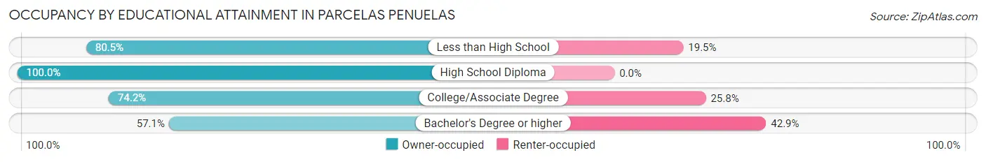 Occupancy by Educational Attainment in Parcelas Penuelas