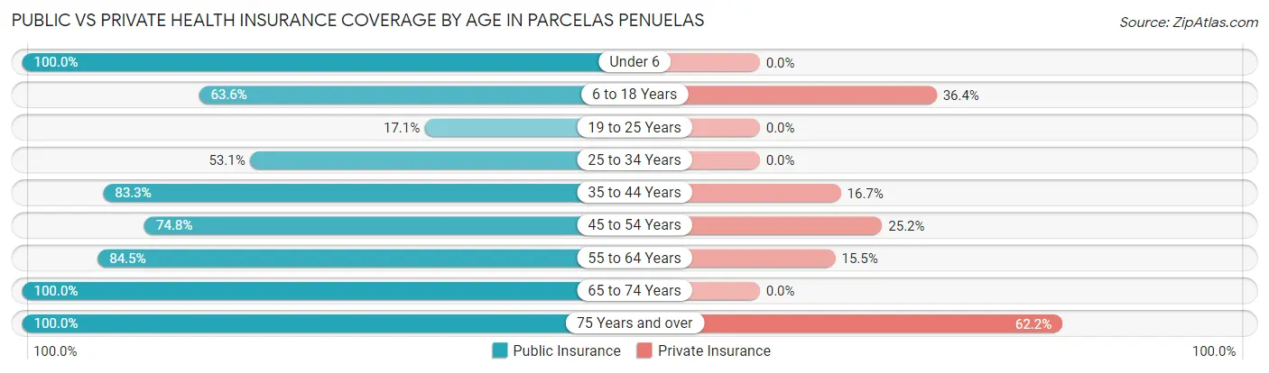 Public vs Private Health Insurance Coverage by Age in Parcelas Penuelas