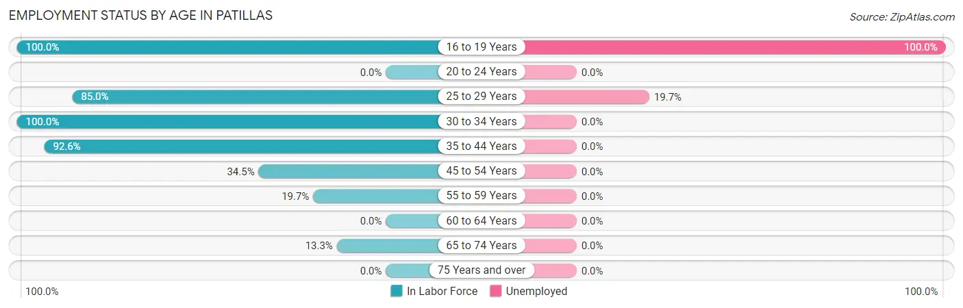 Employment Status by Age in Patillas