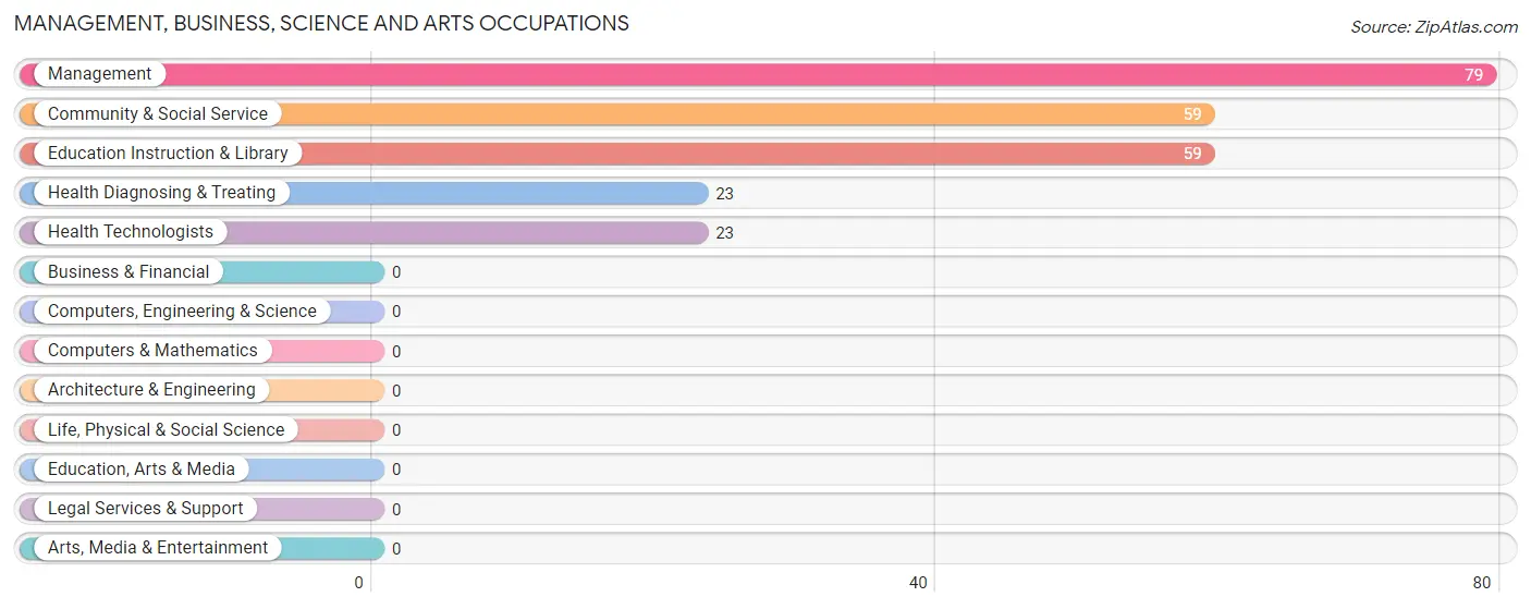 Management, Business, Science and Arts Occupations in Patillas